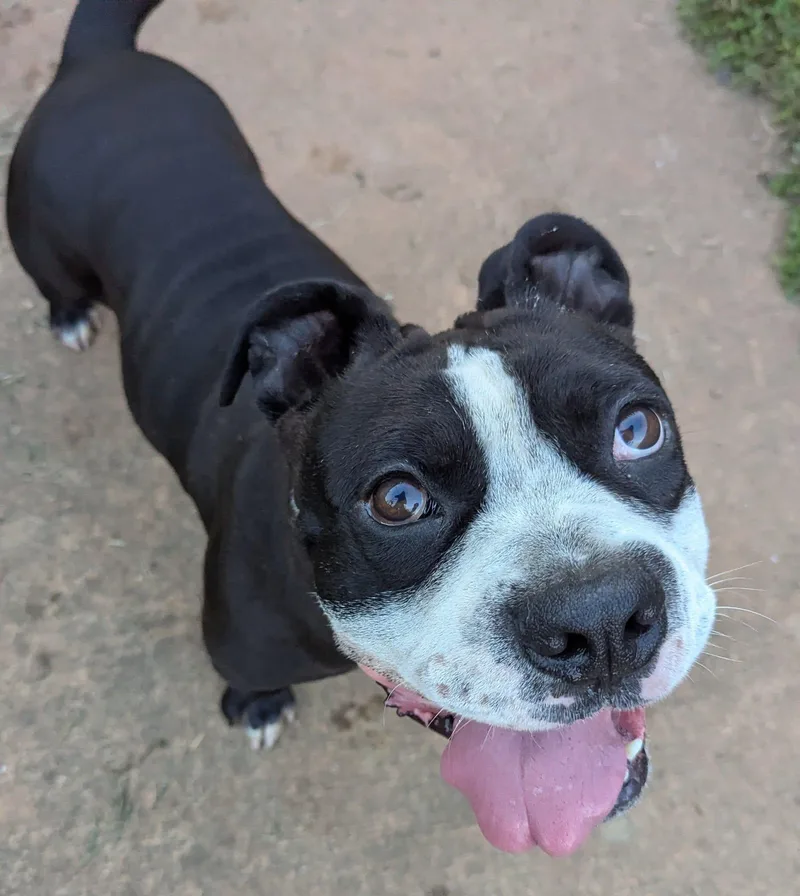 Kash