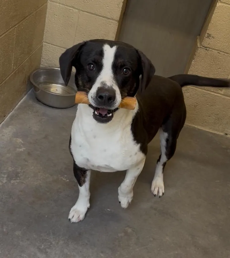 Columbus thumbnail 3