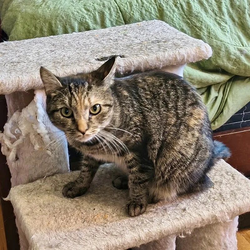 Katie Rose thumbnail 2