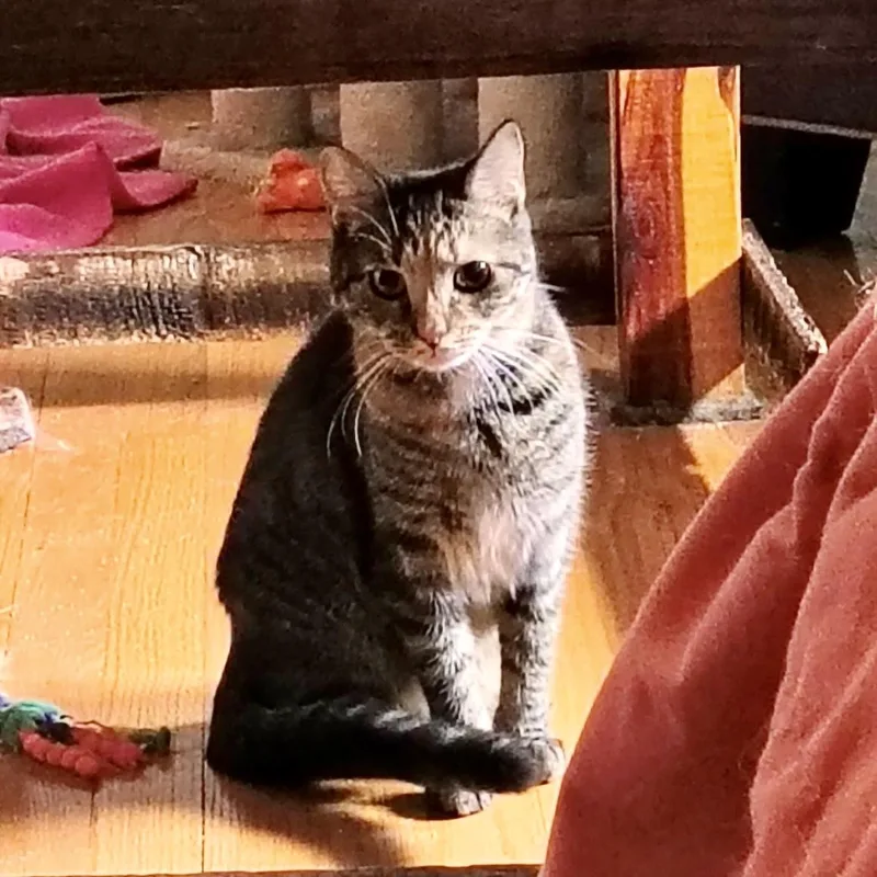 Katie Rose thumbnail 4