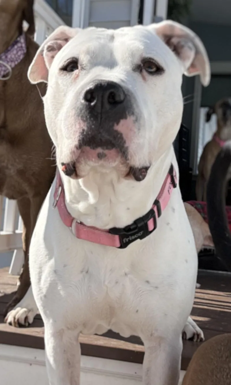 Carly Beth thumbnail 3