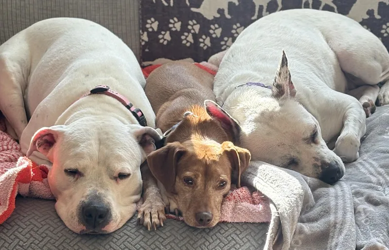 Carly Beth thumbnail 4