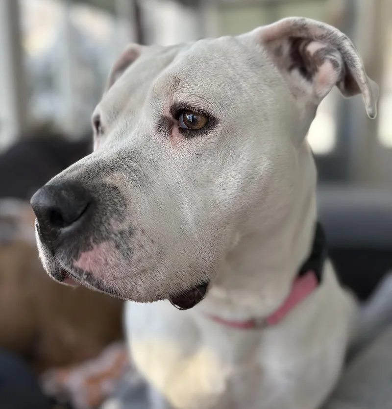 Carly Beth thumbnail 5