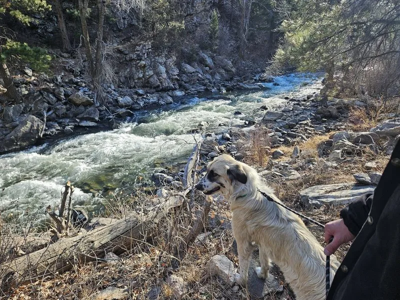 Bella Aka Winter thumbnail 3