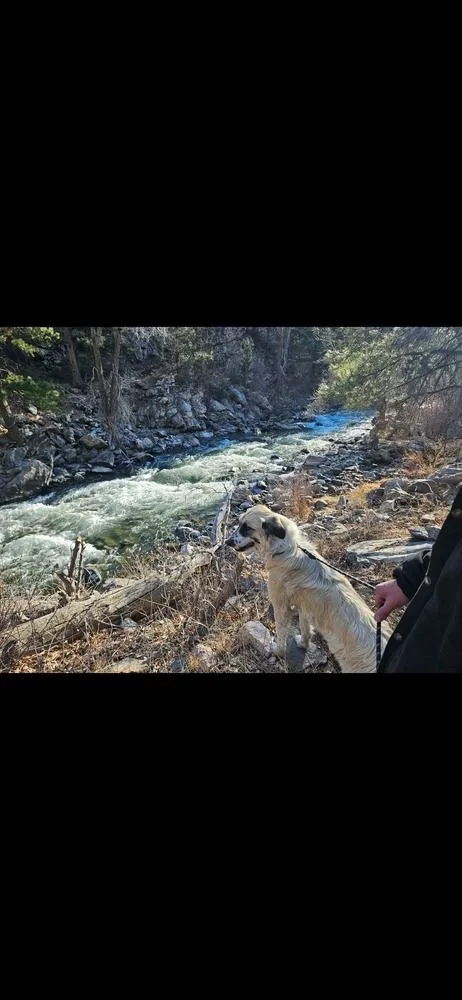 Bella Aka Winter thumbnail 6