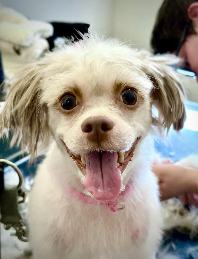 Panni  Special Needs thumbnail 2