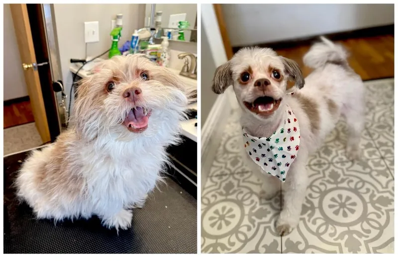 Panni  Special Needs thumbnail 3