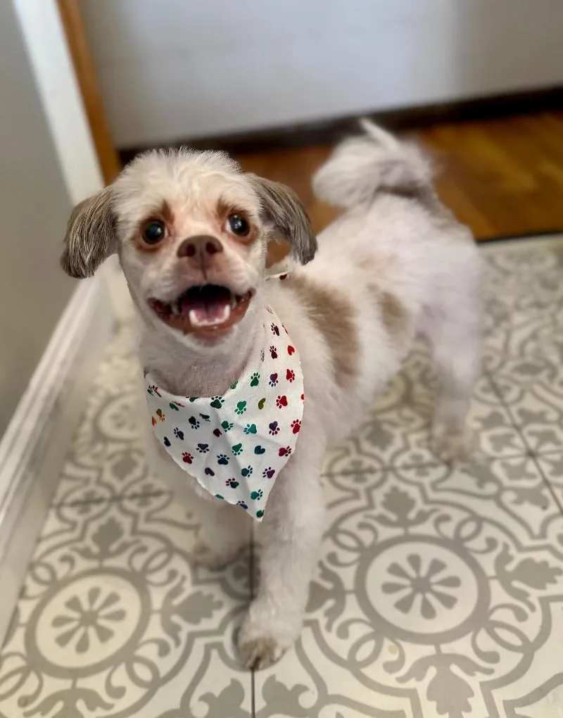 Panni  Special Needs thumbnail 4