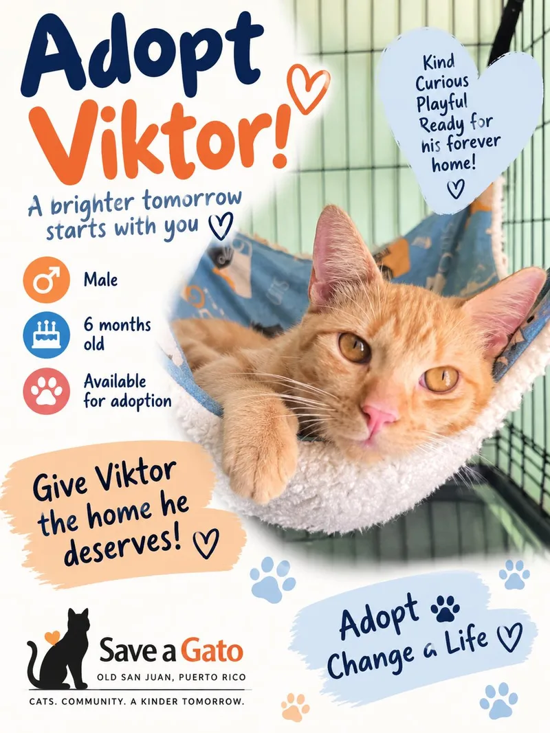 Viktor