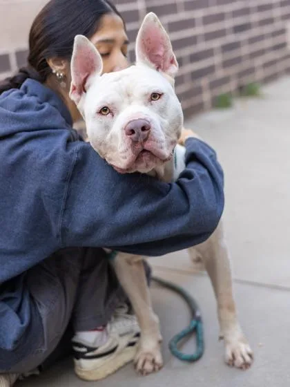 Tanny Phantom thumbnail 2