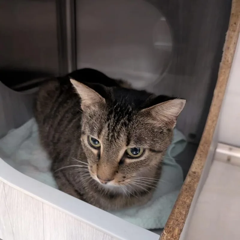 Kalamazoo thumbnail 2