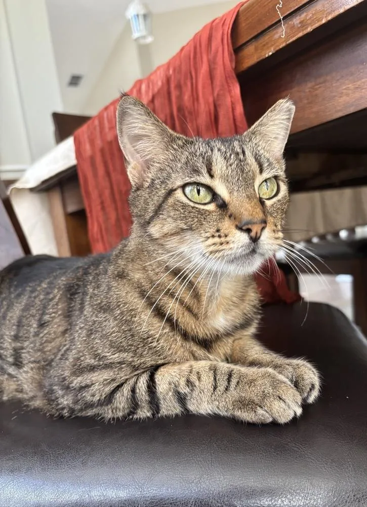 Kalamazoo thumbnail 3