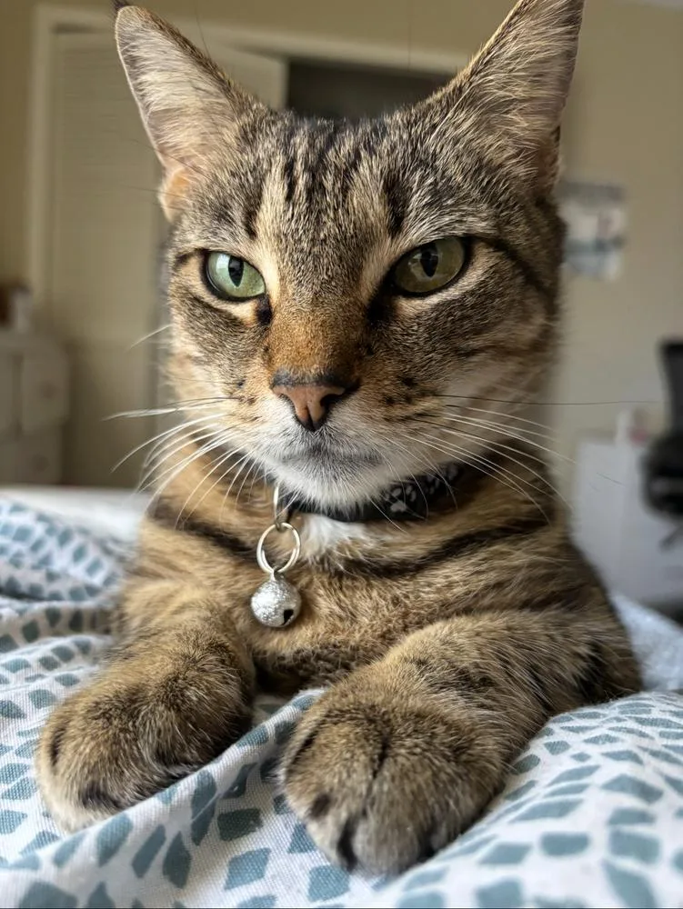 Kalamazoo thumbnail 4