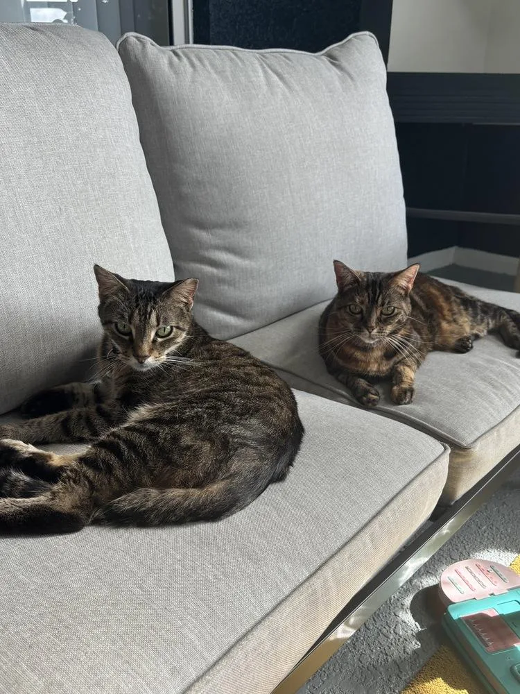 Kalamazoo thumbnail 5