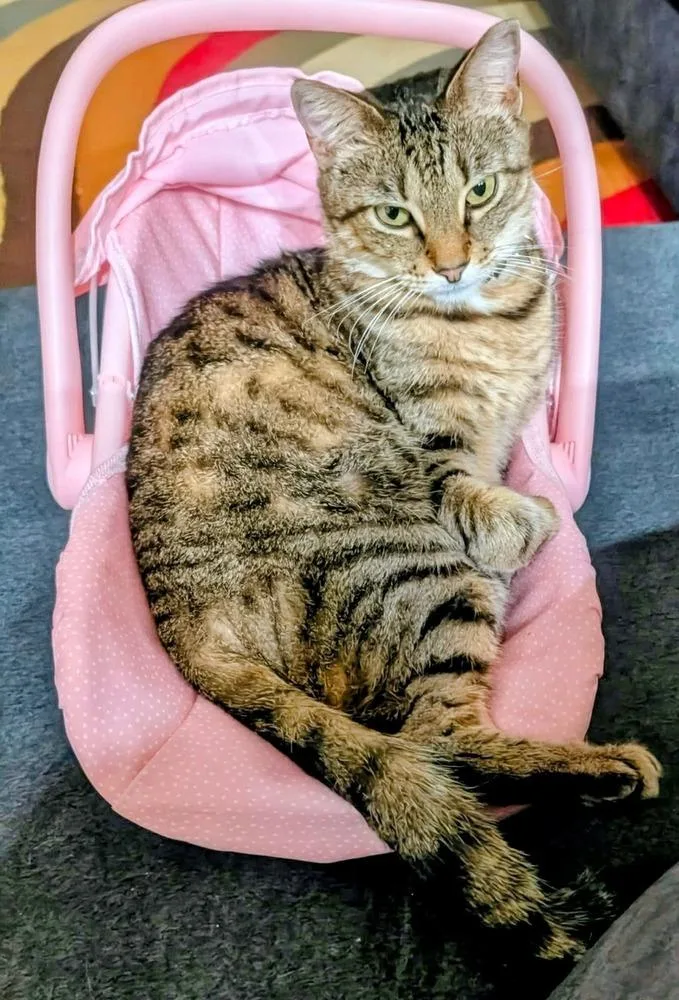 Kalamazoo thumbnail 6