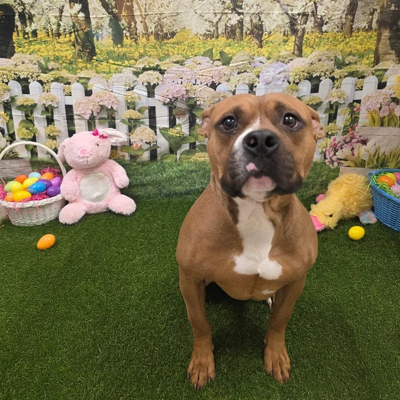 Nitrogen thumbnail 3