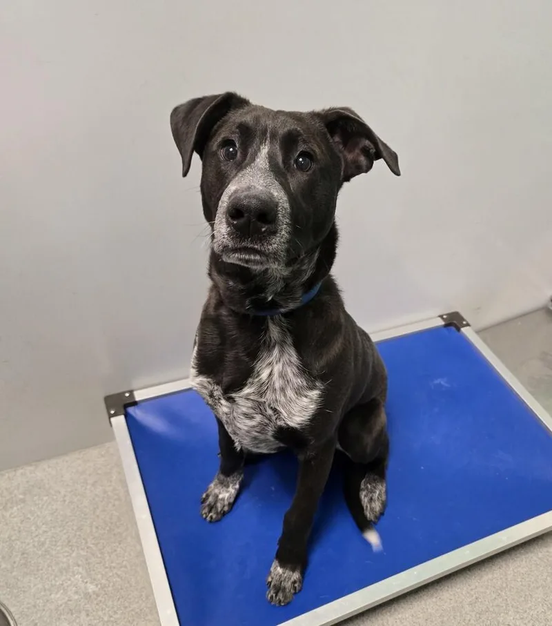 Security thumbnail 2