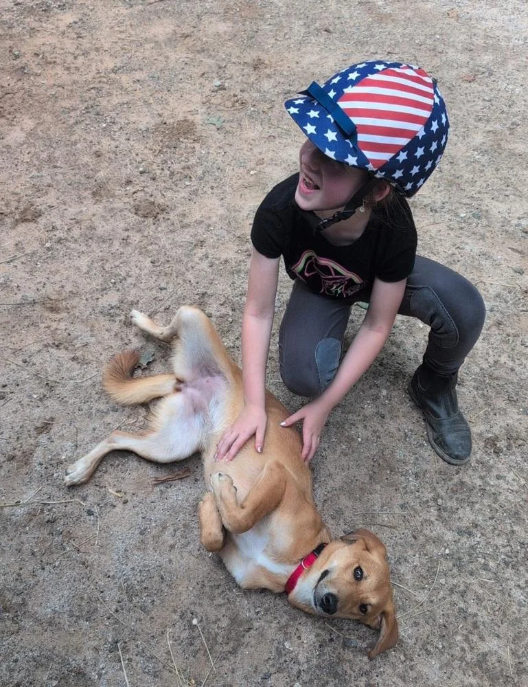 Dixie thumbnail 6