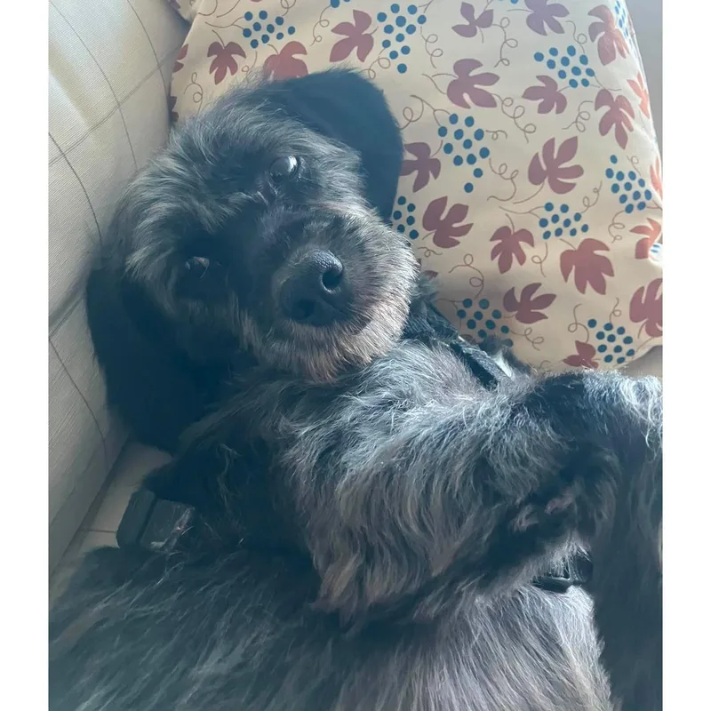 Kailo