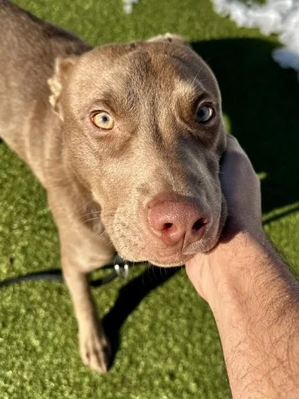 Einstein thumbnail 3