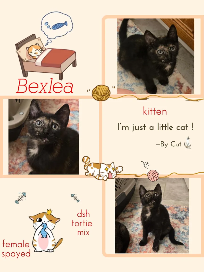Bexlea Ort thumbnail 2
