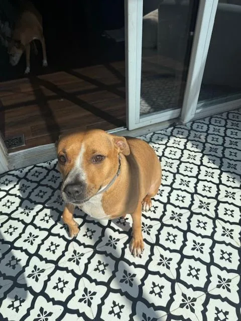 Little One thumbnail 2