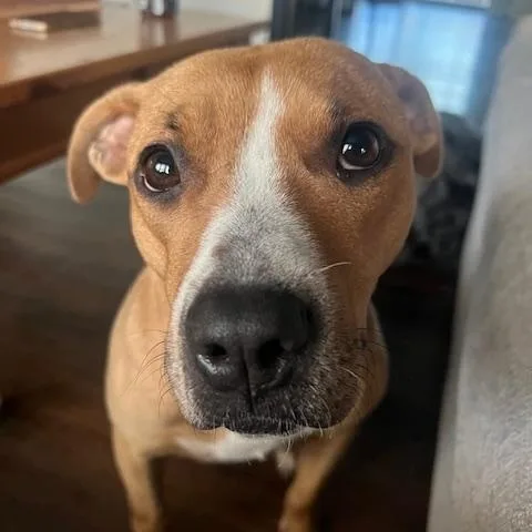 Little One thumbnail 3