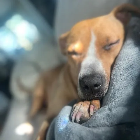 Little One thumbnail 4