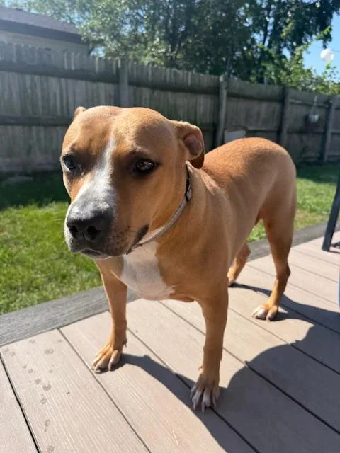 Little One thumbnail 5