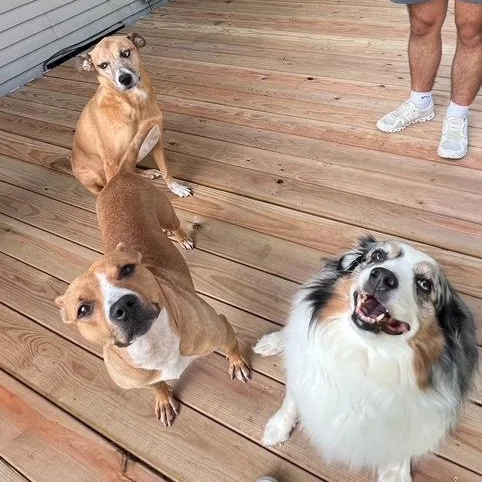 Little One thumbnail 6