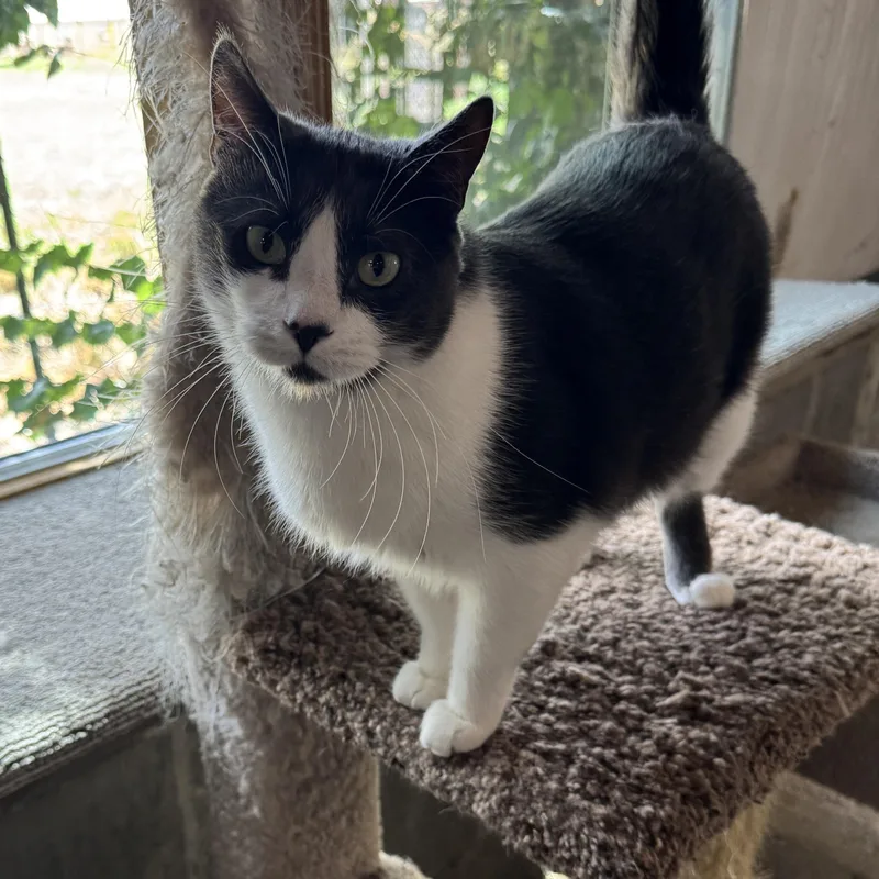 Buddy And Max thumbnail 2