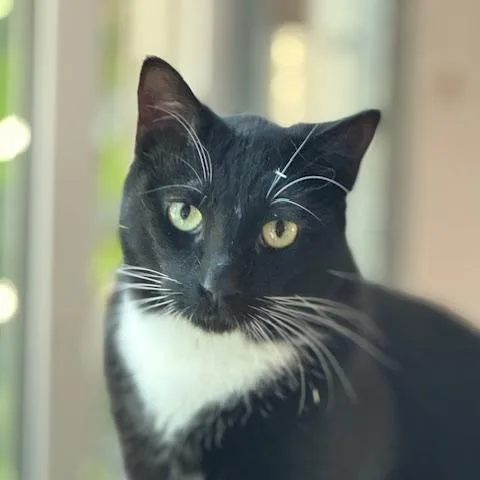 Buddy And Max thumbnail 3