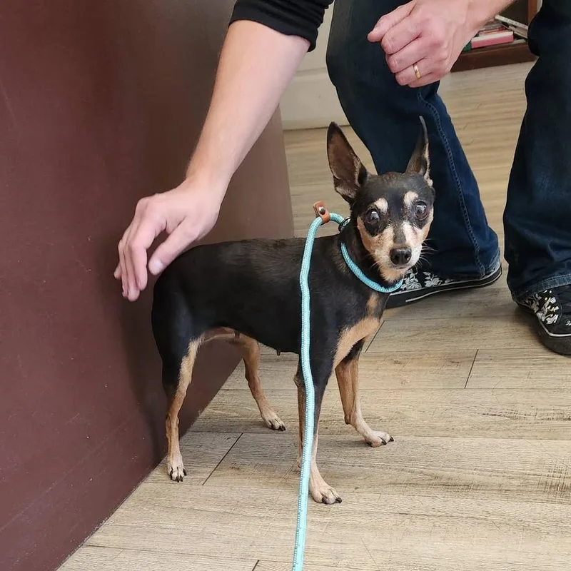 Riley D thumbnail 2