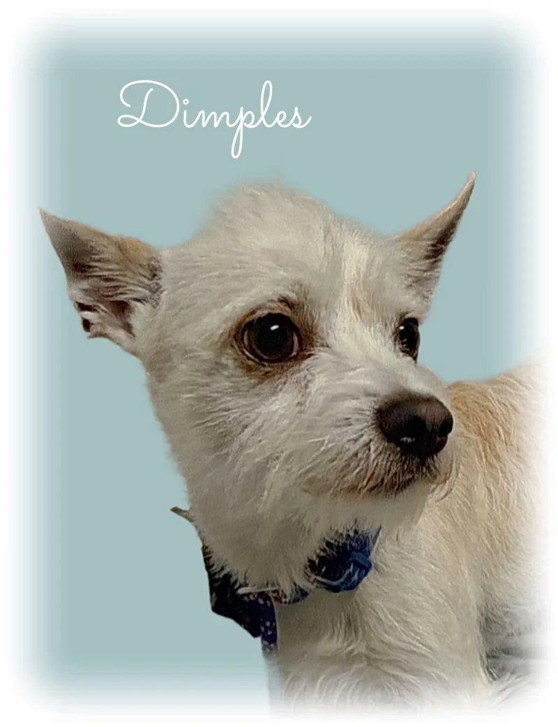 Dimples