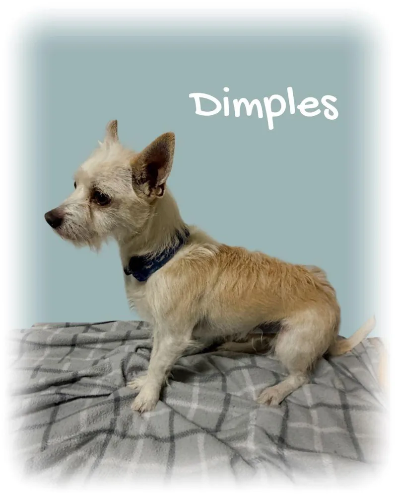 Dimples thumbnail 2