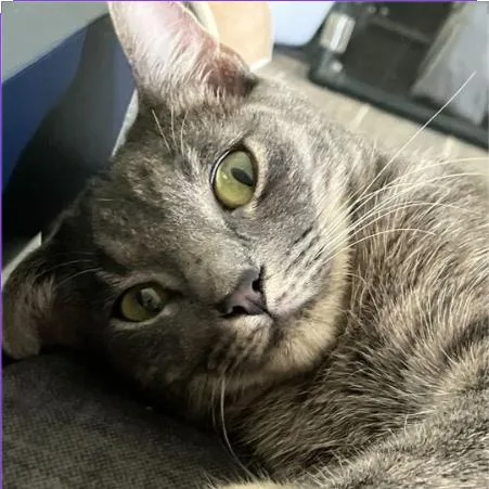 Matilda thumbnail 4