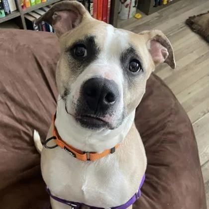 Princess thumbnail 2