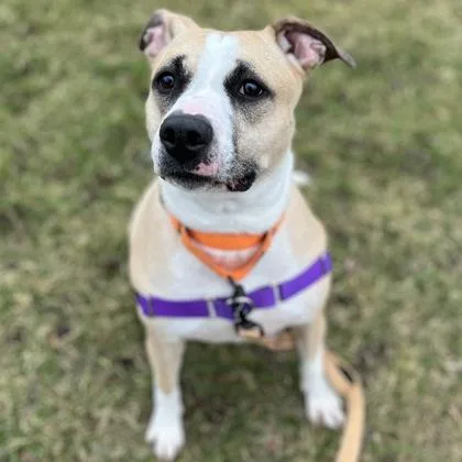 Princess thumbnail 3