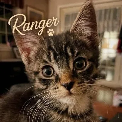 Ranger  Needs A thumbnail 3