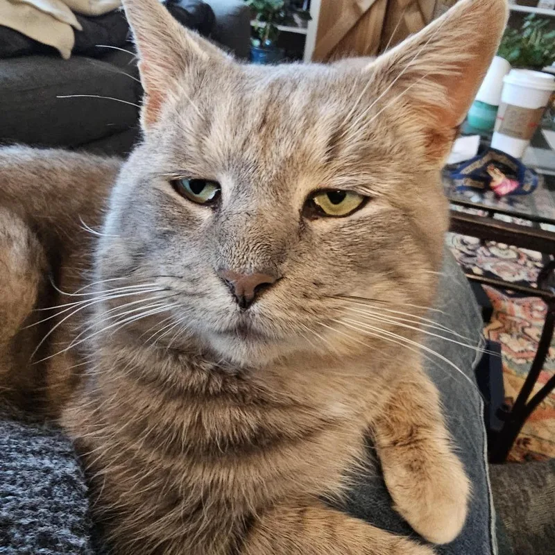 Haymitch thumbnail 3