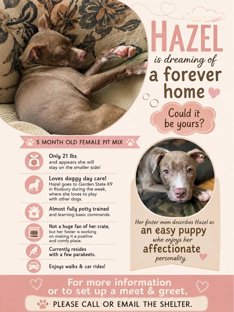 Hazel thumbnail 3