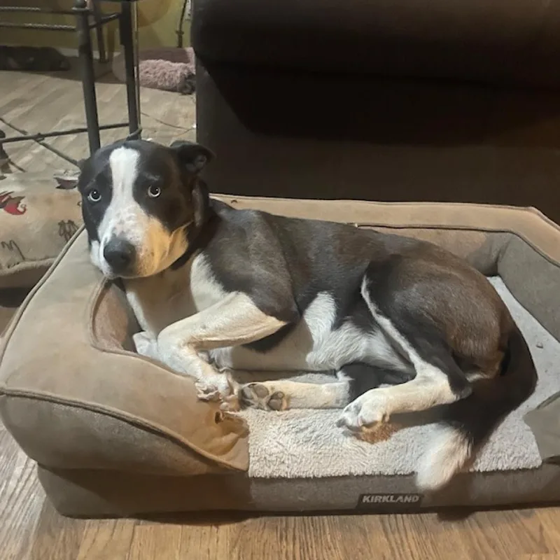 Frida Now Rita thumbnail 3