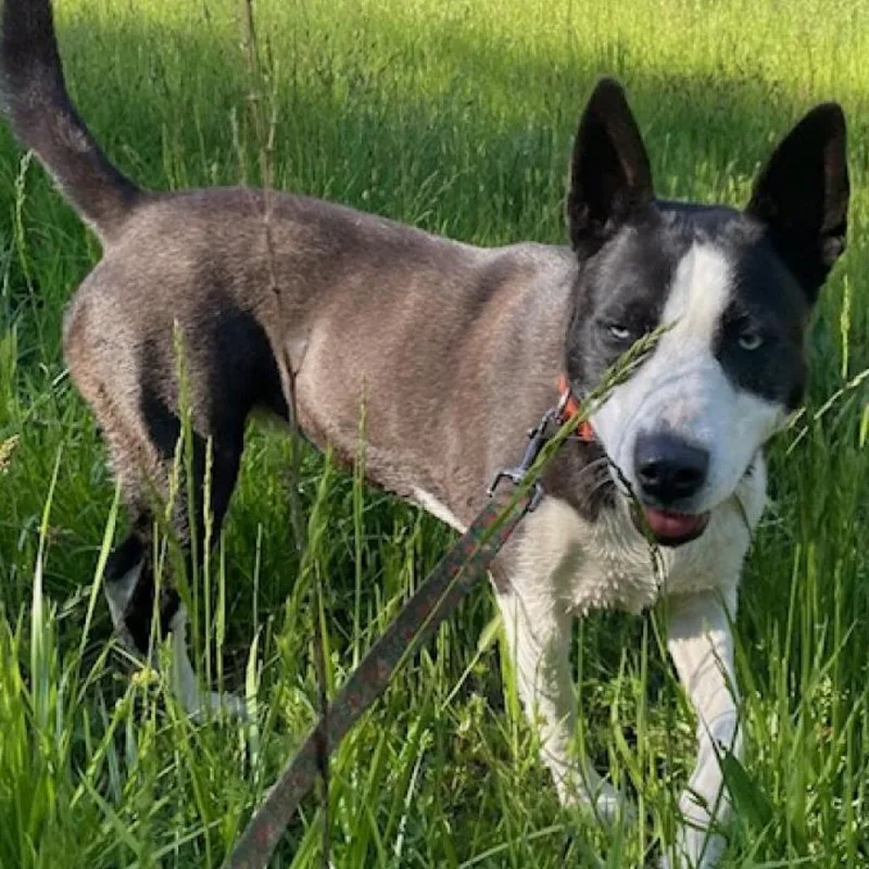 Frida Now Rita thumbnail 4