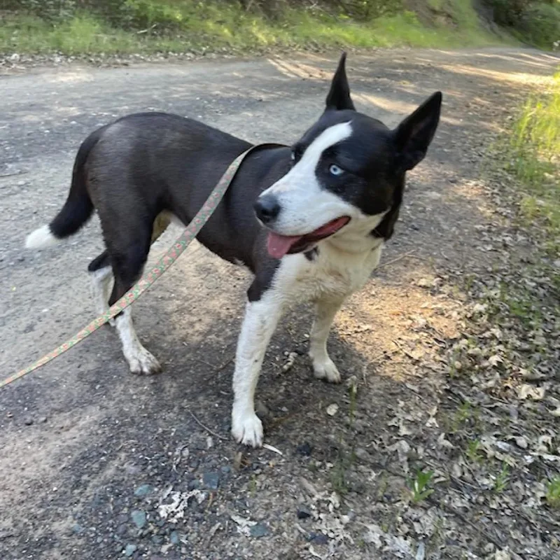 Frida Now Rita thumbnail 5