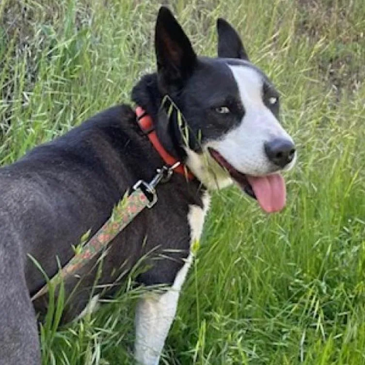 Frida Now Rita thumbnail 6