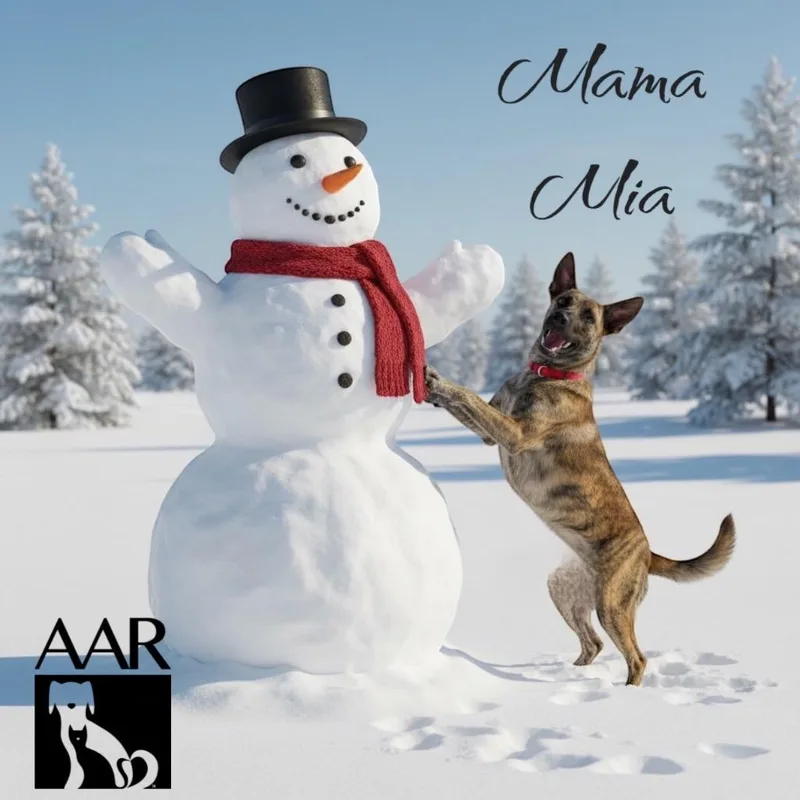 Mama Mia thumbnail 2