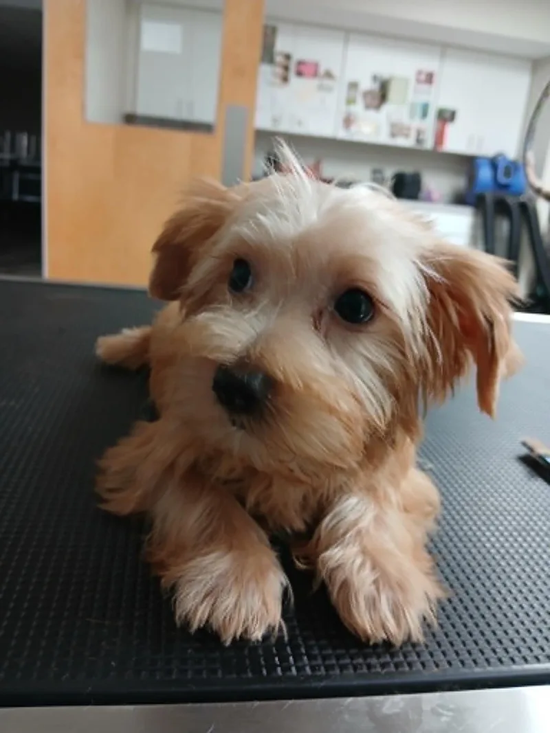 Theodore thumbnail 2