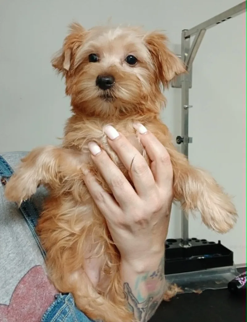 Theodore thumbnail 5