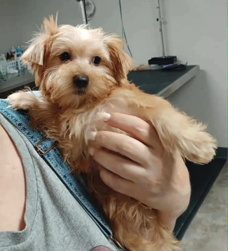 Theodore thumbnail 6