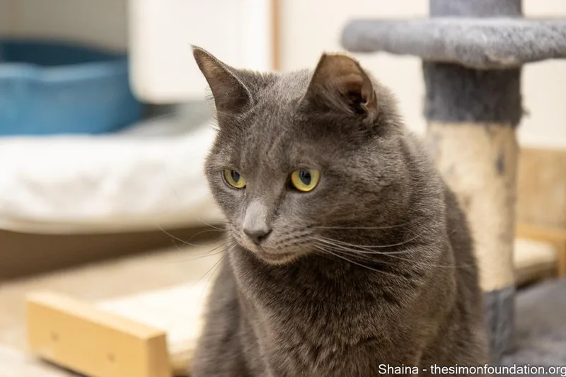 Shaina And Juniper thumbnail 4